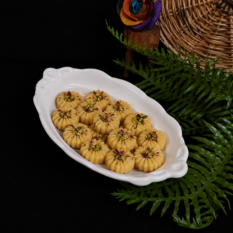 سیگل بیضی کوچک(پاپیون)